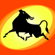 Wild Bull Logo
